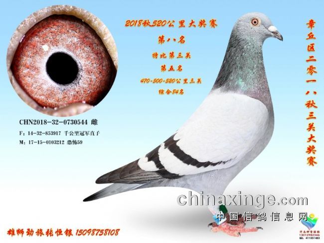 ��Ѫ���ֵ�һ����Ů�����