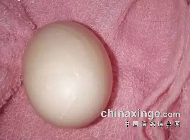 �뵰���ָ������Լ���֮��
