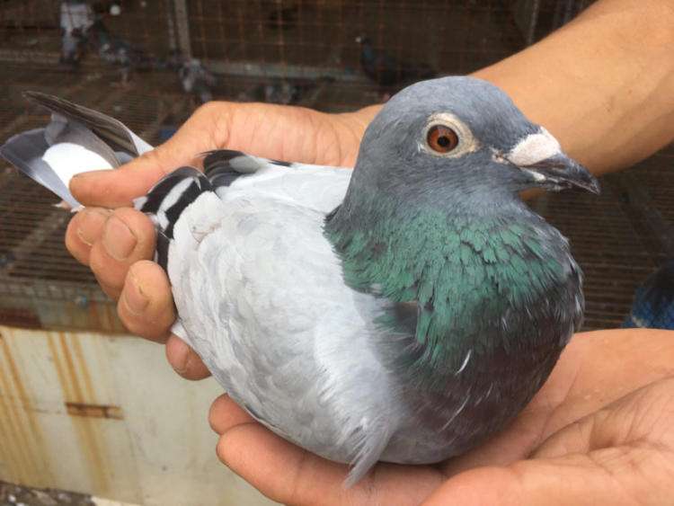 �����Ҫ����̬