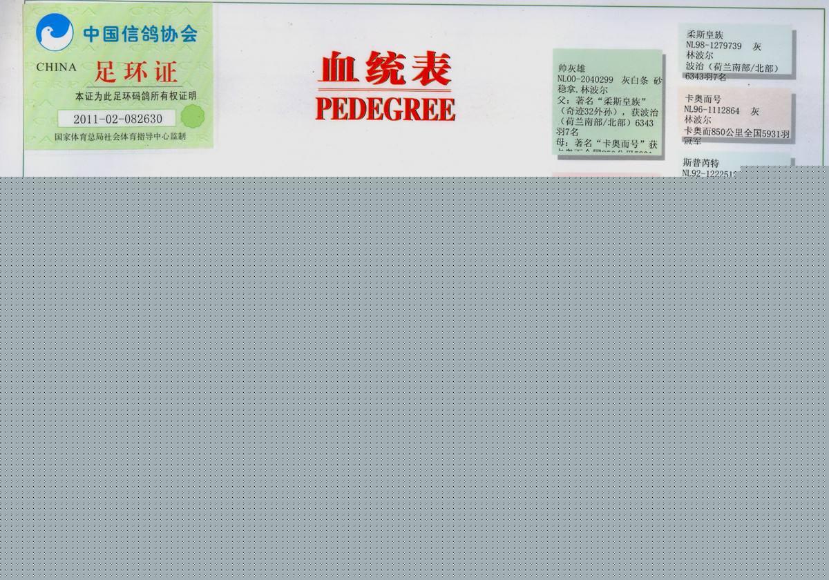 100%��Ѫͳ�ͽд�Ѫ��