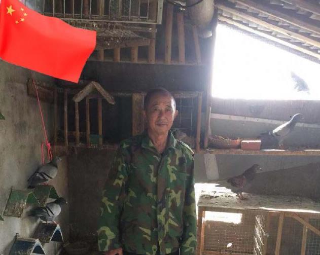 ������ʮ������Ѻ͹����Ӱ��