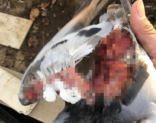 ƾ�ż�ǿ�������ص��ҵİ���