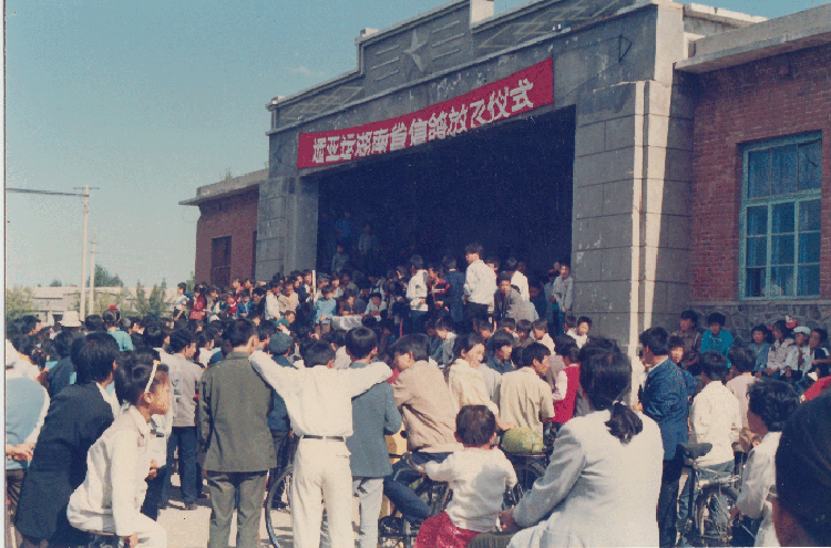 �����ӻ� ʮ�ߴ���̸����