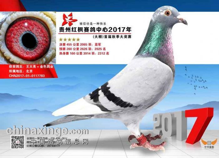 信鸽协会比赛直播 20180709110809705.jpg