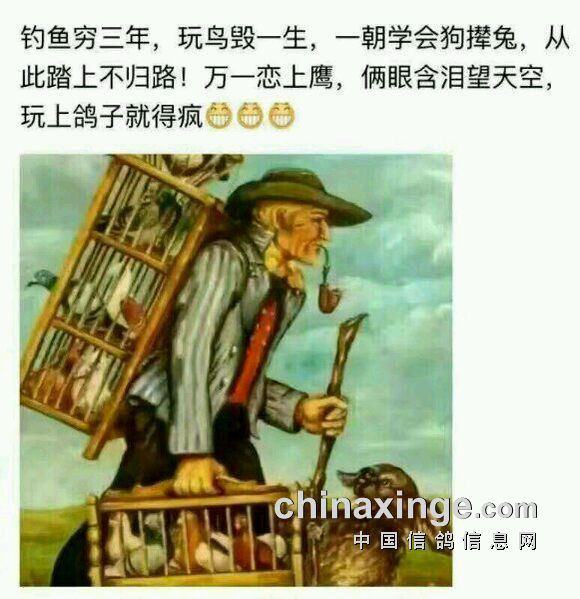 ´ڞg[DƬ