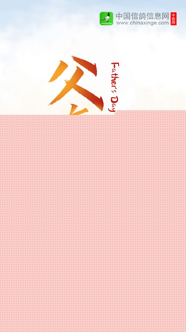 ´ڞg[DƬ