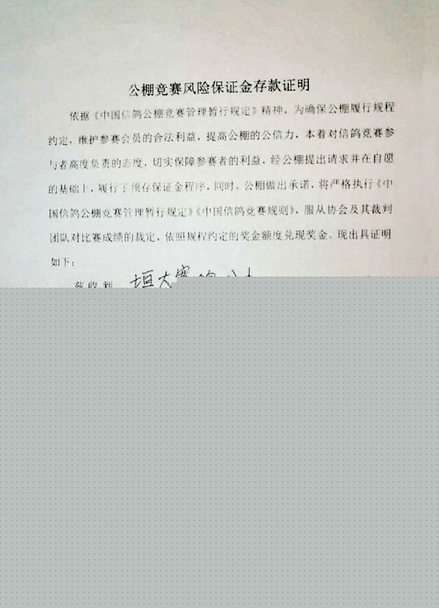 保证金存款证明