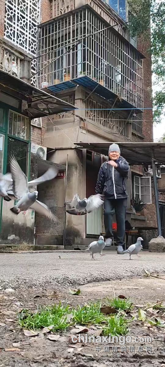 �������´��ڞg�[�DƬ