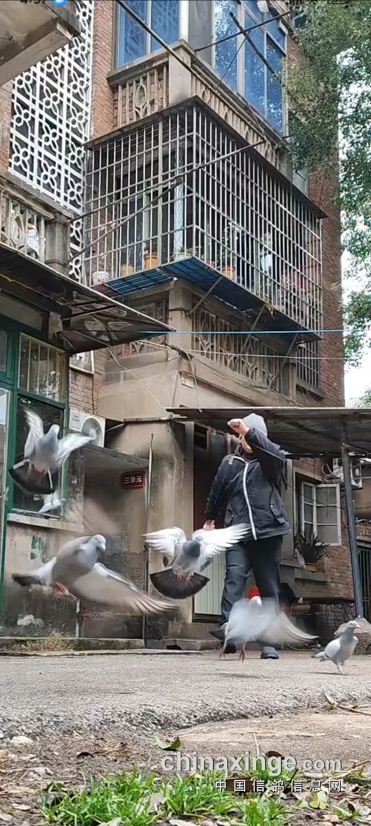 �������´��ڞg�[�DƬ