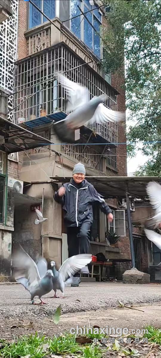 �������´��ڞg�[�DƬ