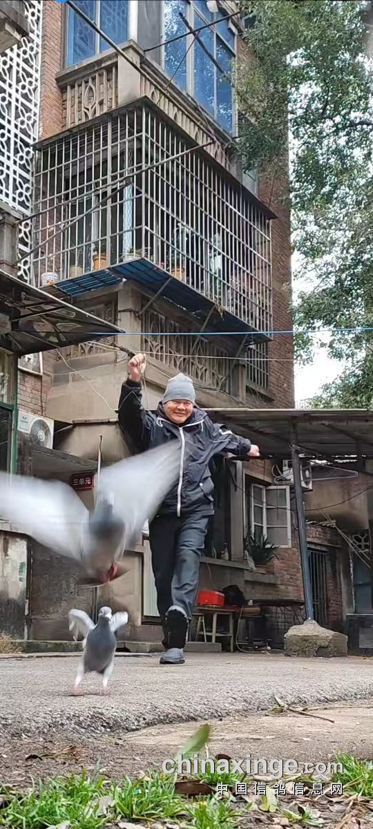 �������´��ڞg�[�DƬ